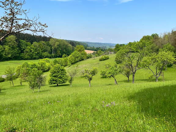 22-05-08 11-25-04 0769